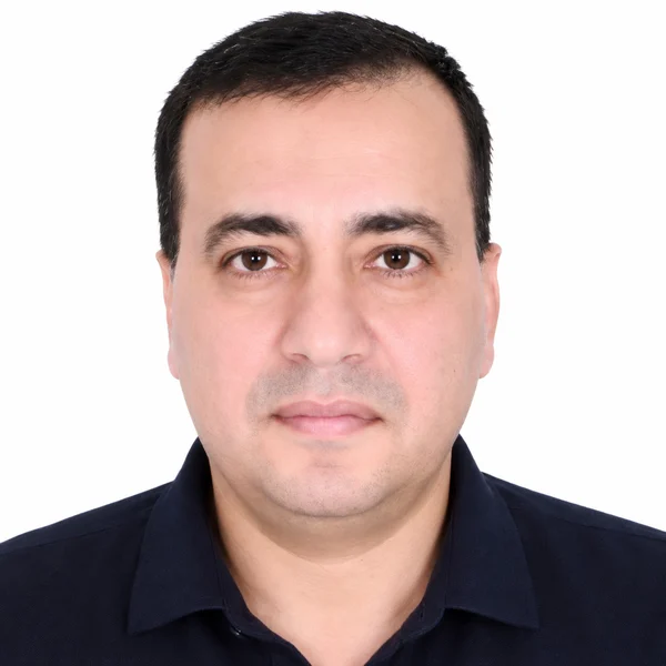 Mohamed Abdelrahman Aly